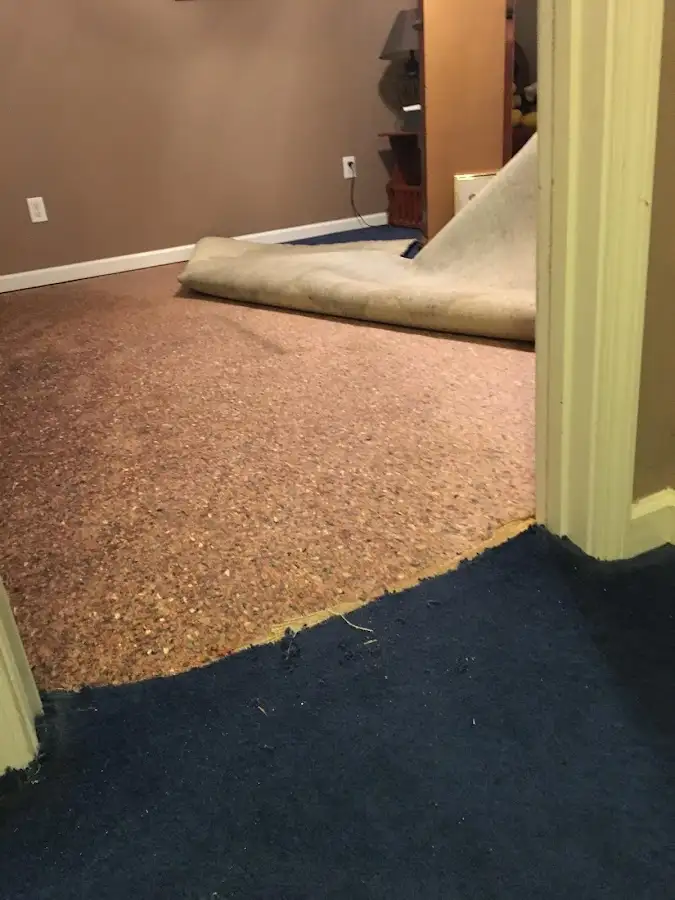 Carpet pad removal revealing water damage during Water Mitigation Services in Tuckahoe
