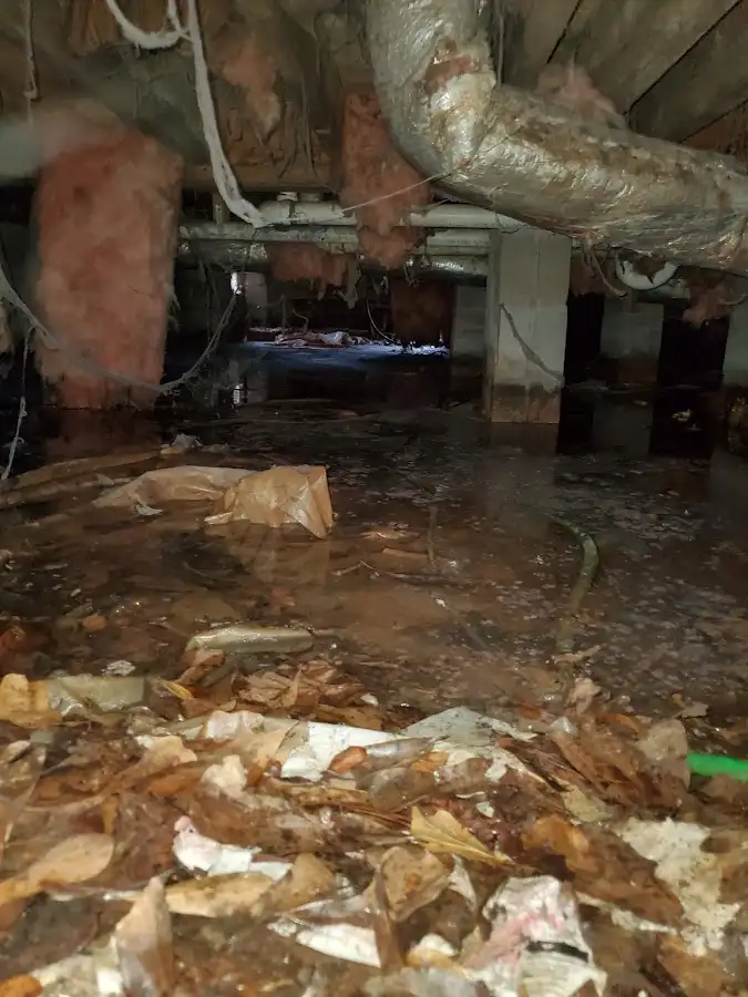 Crawl space flood assessment for Leak Detection & Repair in Tuckahoe